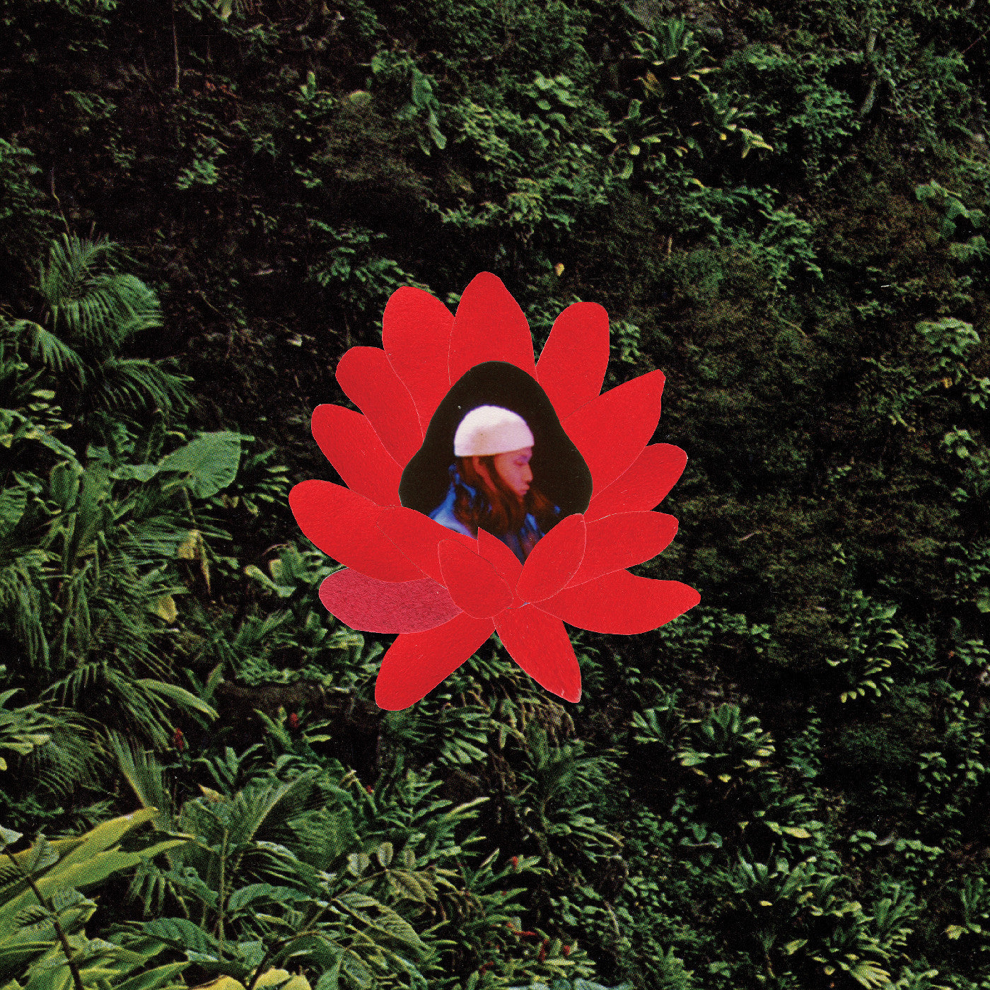 Lionmilk - When The Flowers Bloom (VINYL) | Mint (M) Mint (M)-