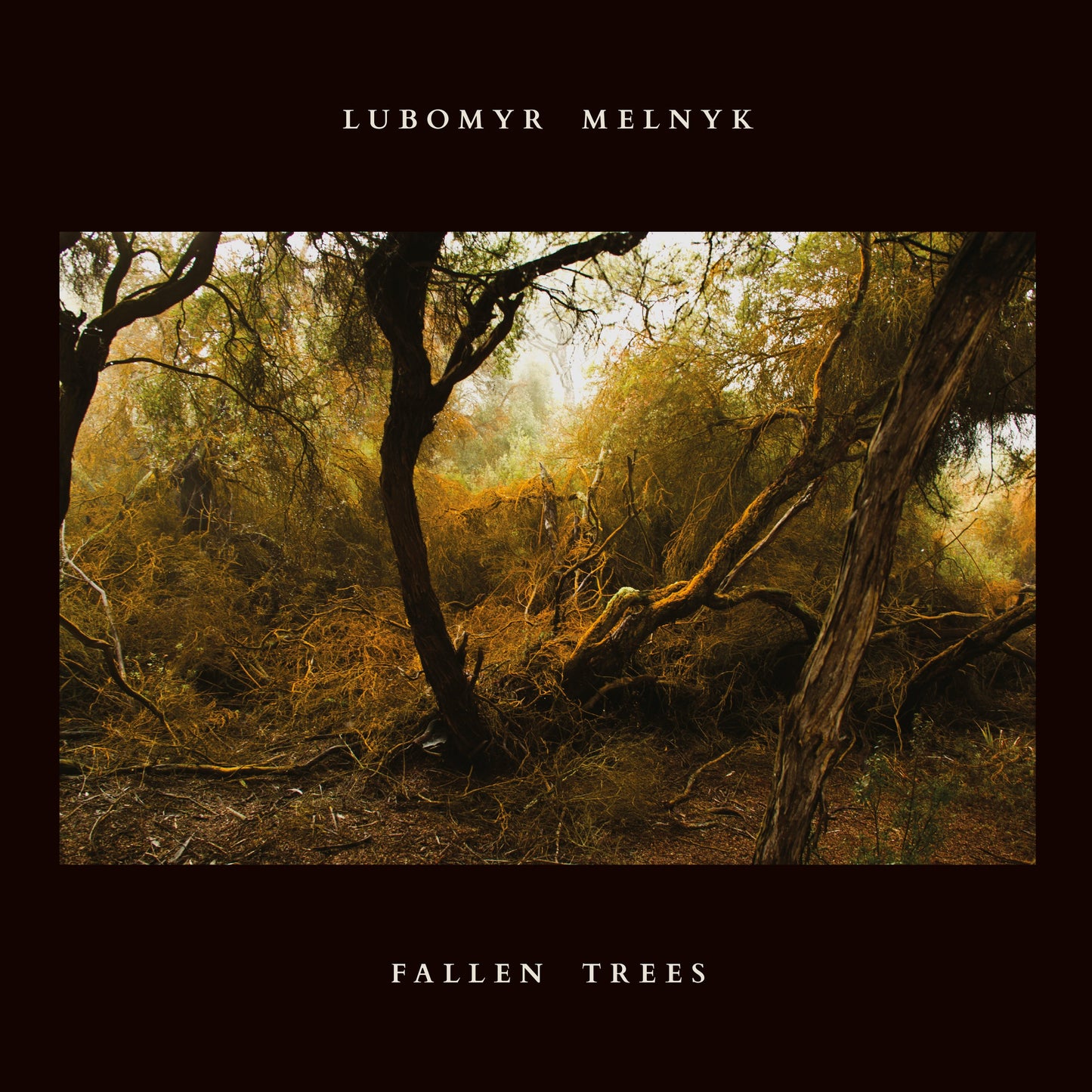 Lubomyr Melnyk - Fallen Trees (VINYL) | Mint (M) Mint (M)-