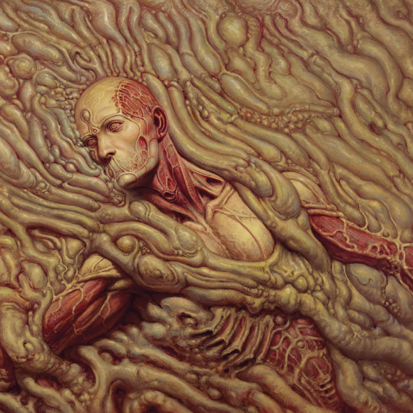 Lustmord and Aethek - Scorn |-