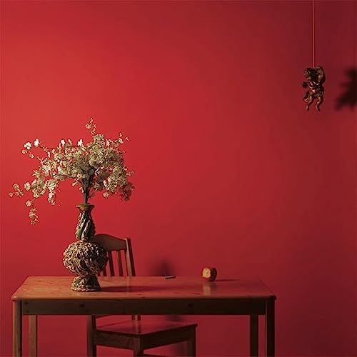 Mac Miller - Watching Movies with the Sound Off (RED VINYL +10" PICTURE DISC BOX) | Mint (M) Mint (M)-