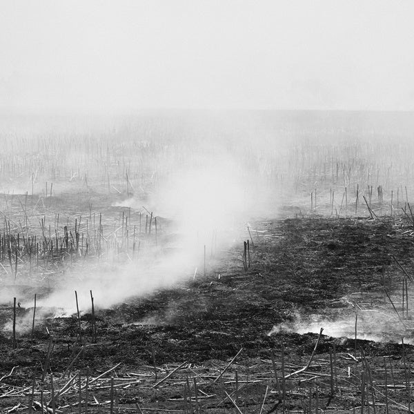 MATT ROSNER - Empty, Expanding, Collapsing |-