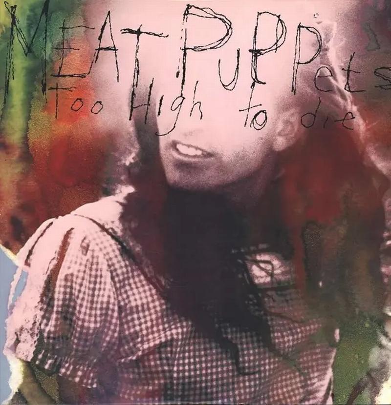 Meat Puppets - Too High To Die (VINYL) | Mint (M) Mint (M)-