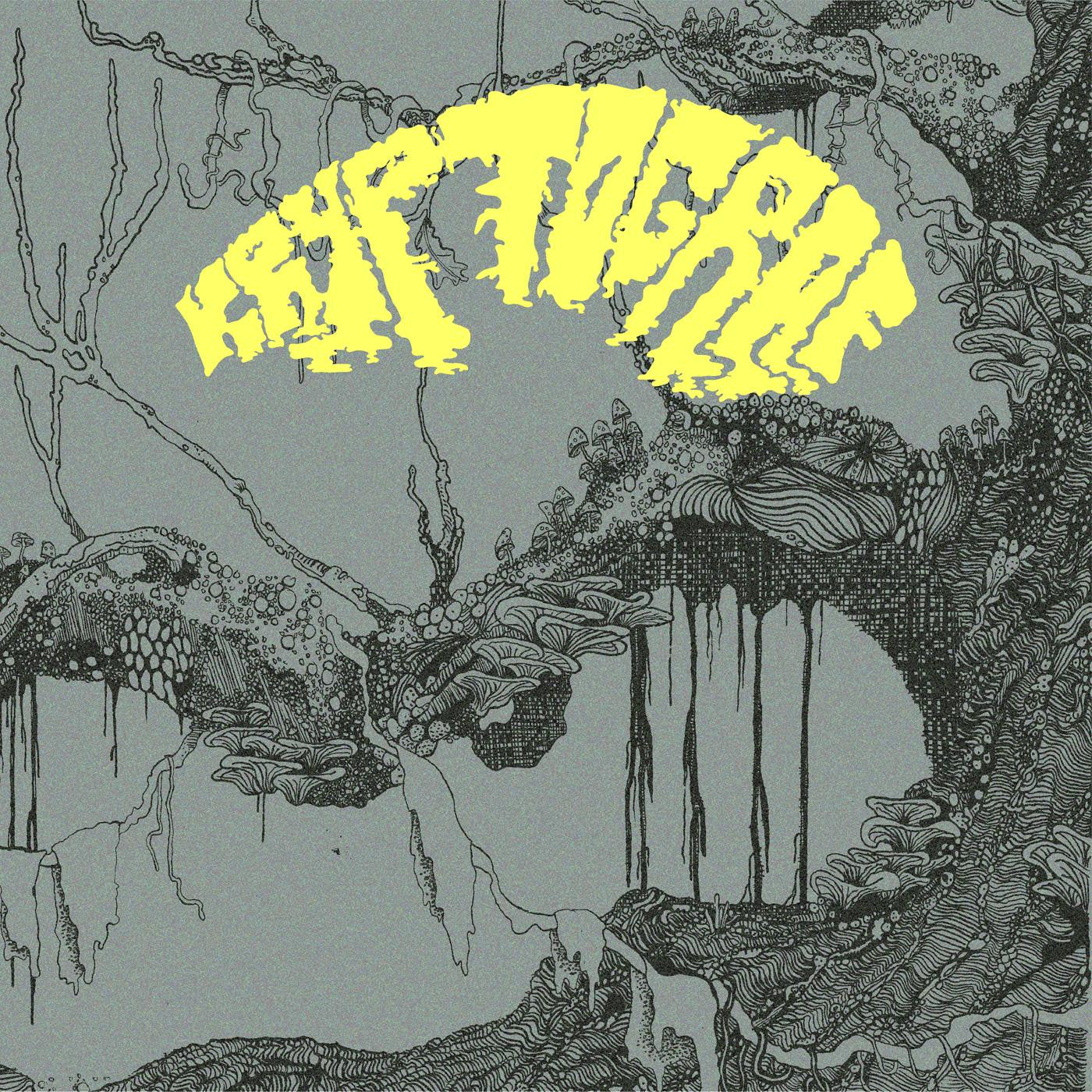 Kryptograf - Kryptograf (CD) |-