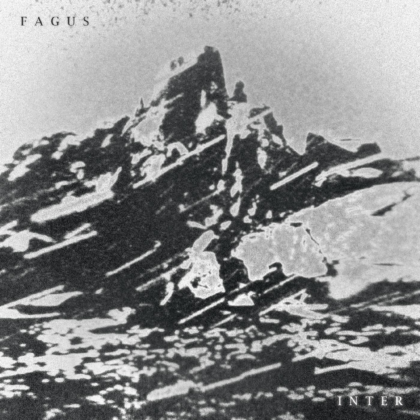 Fagus - Inter (CD) |-