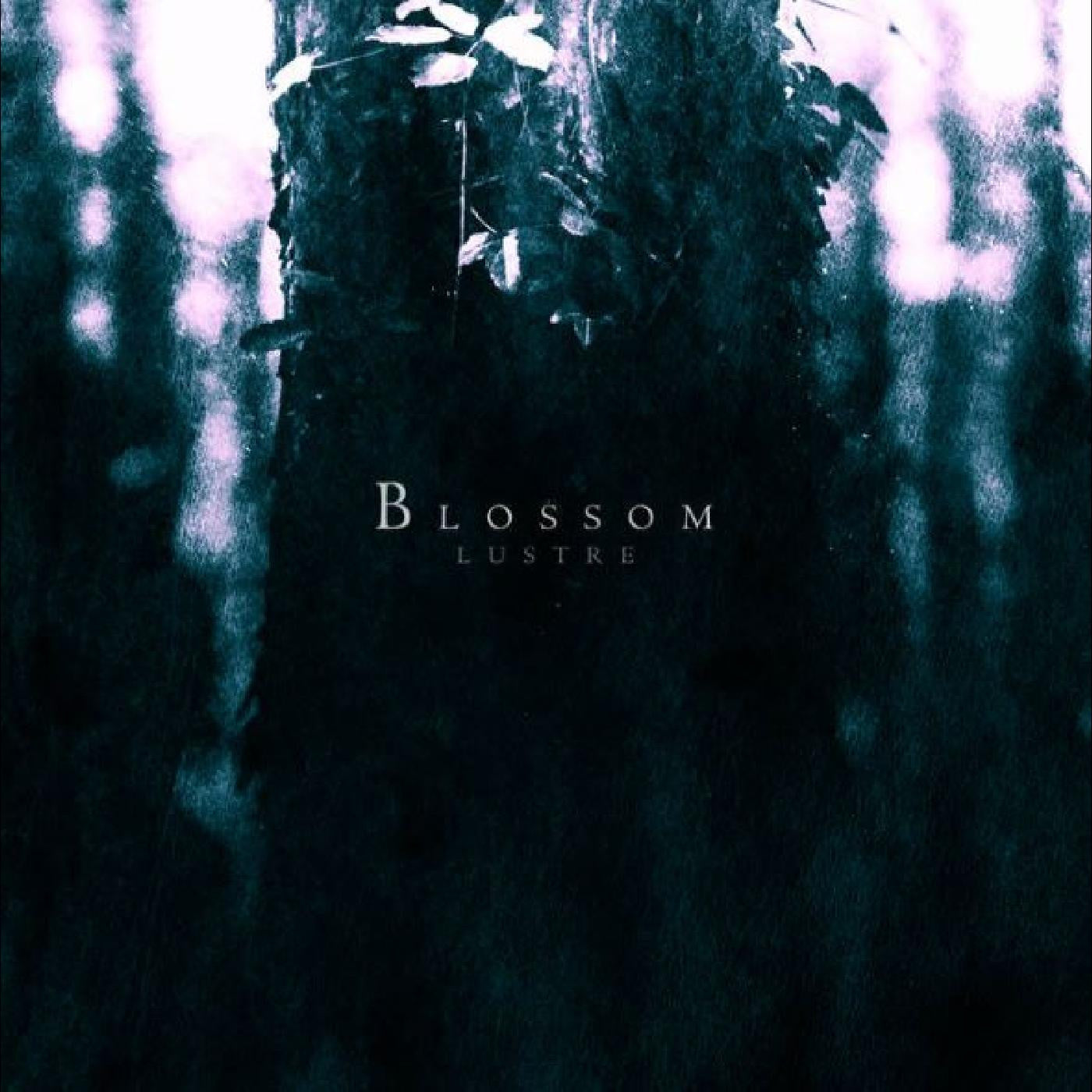 Lustre - Blossom (CD) | Mint (M) Mint (M)-