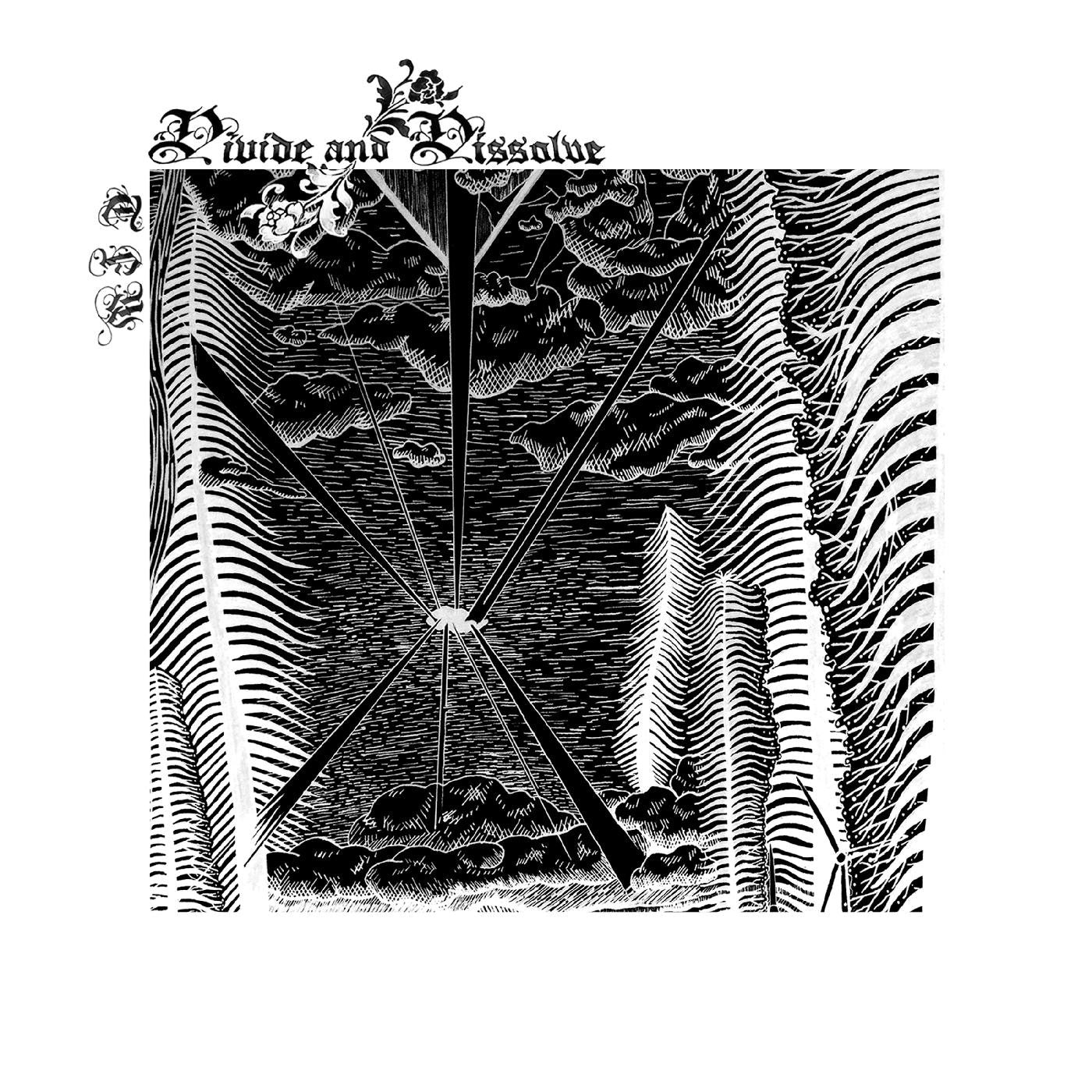 Divide and Dissolve - TFW (Vinyl) |-