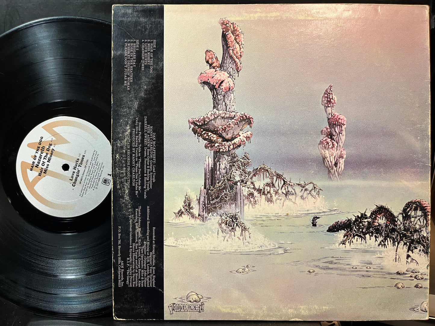 Nazareth - Hair Of The Dog (VINYL LP A&M SP-4511 1975) | USED Excellent (EX) Very Good Plus (VG+)-