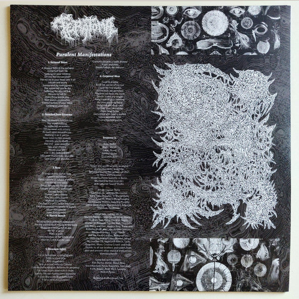 Teratoma (7) - Purulent Manifestations (VINYL) | Near Mint+ (NM+) Mint (M)-