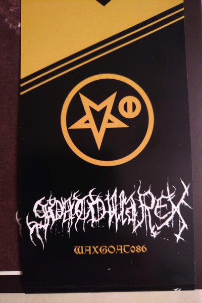 Carelian Satanist Madness (Instrumental Raw Mix) (*NO OBI* VINYL) | Near Mint (NM) Near Mint (NM)-