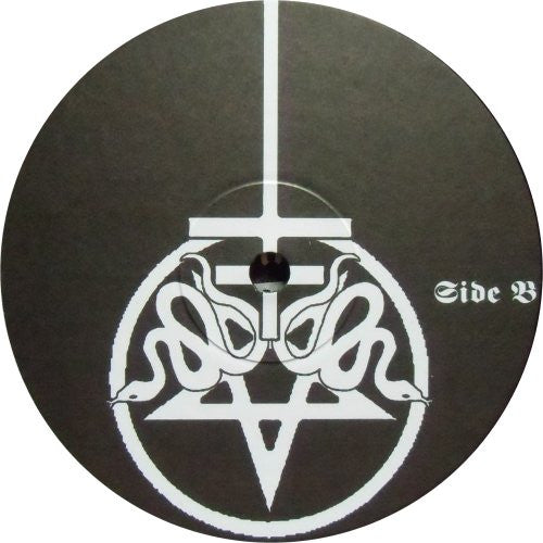 Drowning The Light - The Fading Rays Of The Sun (10" vinyl) | Near Mint (NM)-