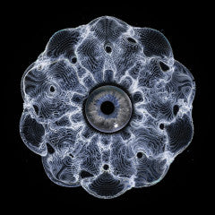 Vinyl Speed Adjust - Hypnotizin EP (VINYL) | Mint (M) Mint (M)-