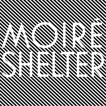 Shelter | Mint (M) Mint (M)-