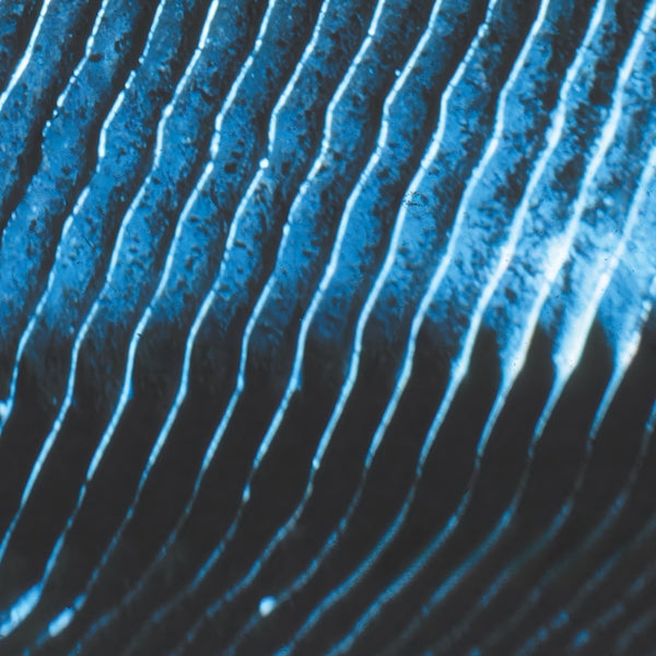 Monolake - Gravity (2xLP) | Mint (M) Mint (M)-
