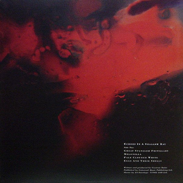 Cocteau Twins - Tiny Dynamine / Echoes In A Shallow Bay | Mint (M) Mint (M)-