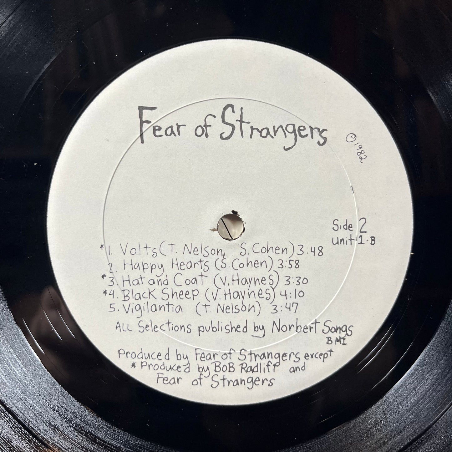 Fear Of Strangers - Fear Of Strangers (VINYL) | Near Mint- (NM-) Excellent (EX)-