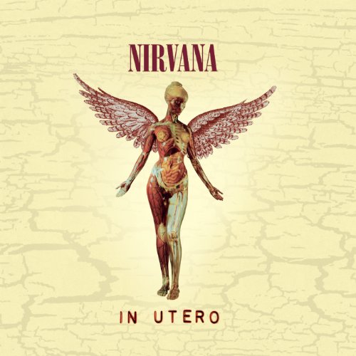 Nirvana - IN UTERO (20TH ANNIVERSARY EDITION)(CD) | Mint (M) Mint (M)-