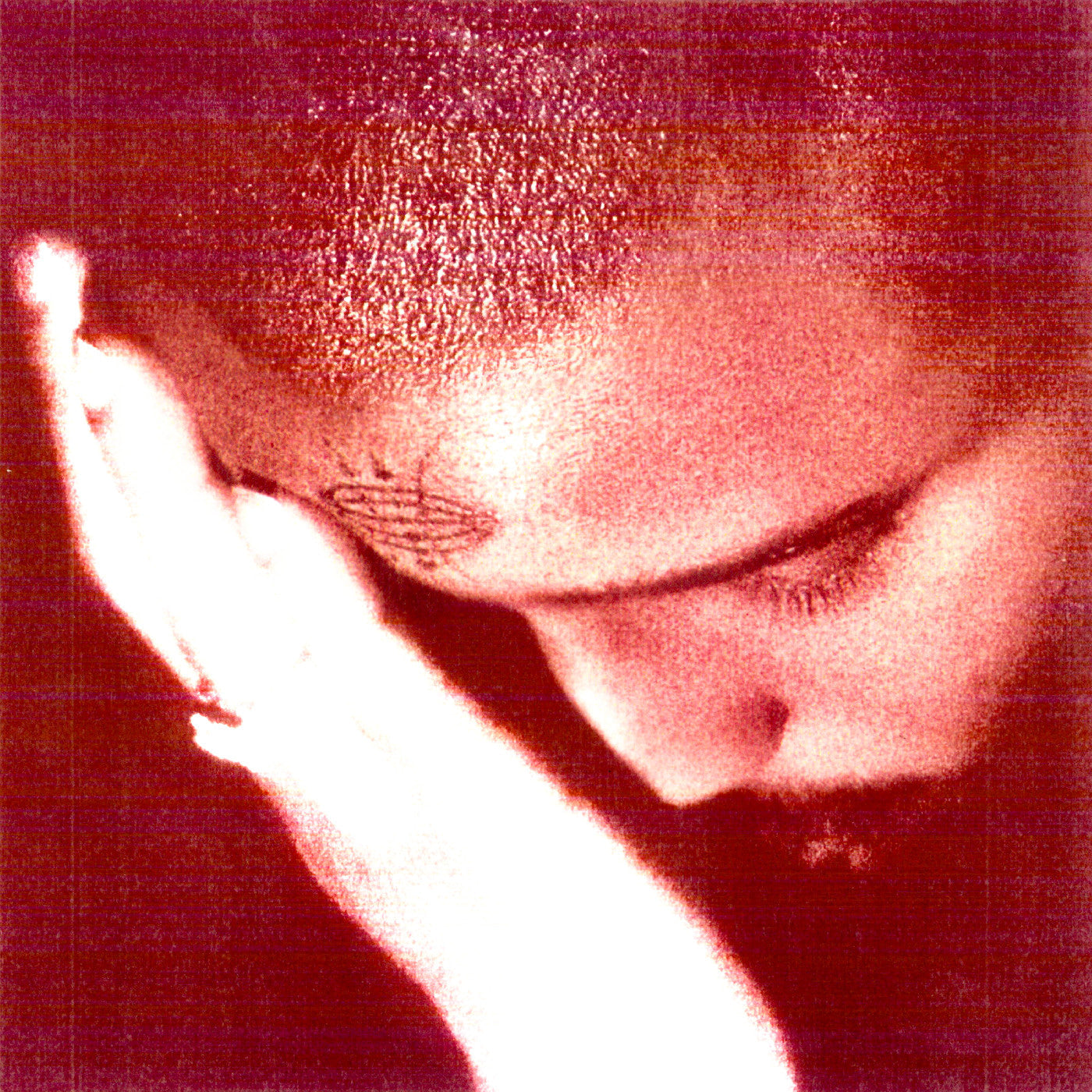 Nourished by Time - The Passionate Ones (Vinyl) | Mint (M) Mint (M)-