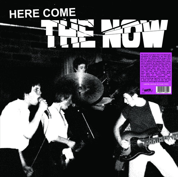 Now - Here Come The Now (Color Vinyl LP) | Mint (M) Mint (M)-