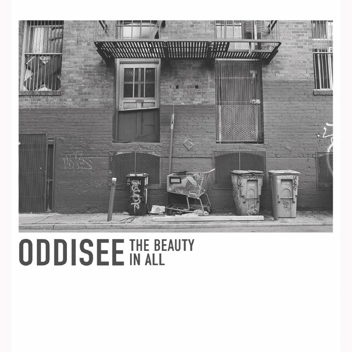 Oddisee - The Beauty In All | Mint (M) Mint (M)-