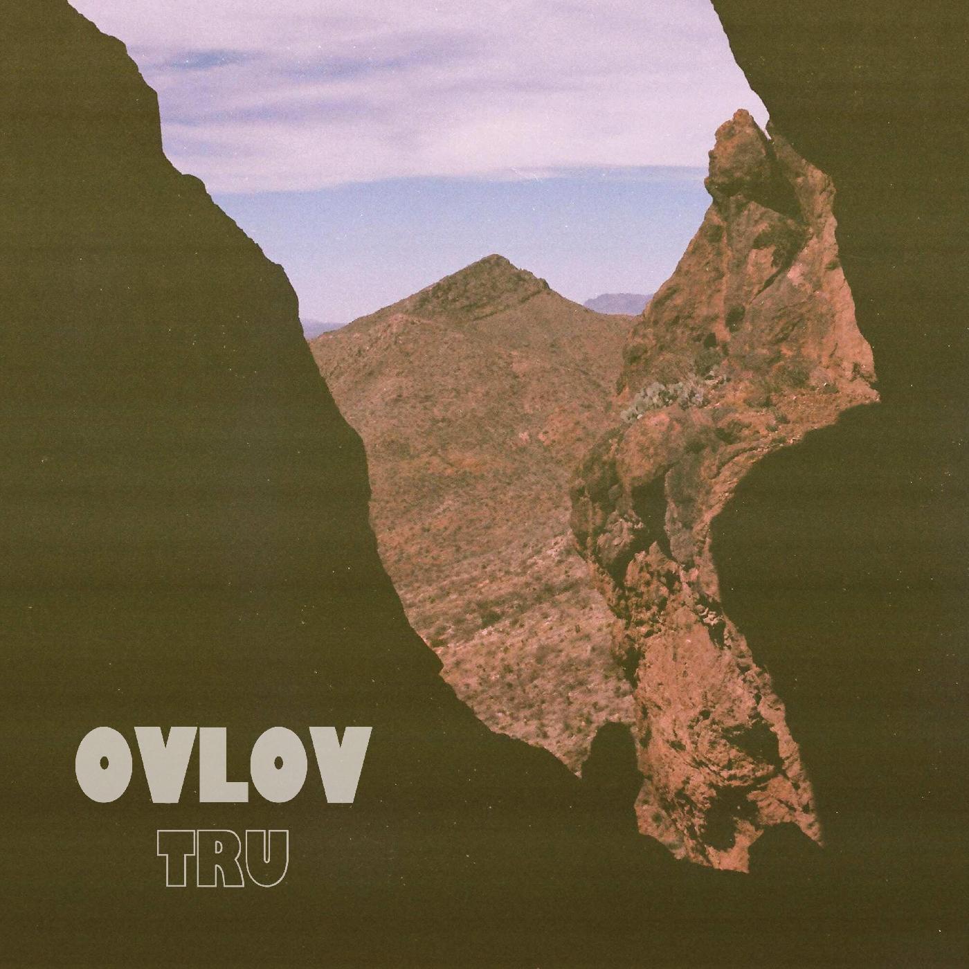 Ovlov - Tru (Brown VINYL) | Mint (M) Mint (M)-