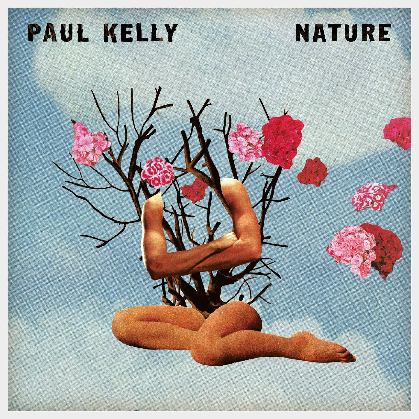 Paul Kelly - Nature (CD) | Mint (M) Mint (M)-