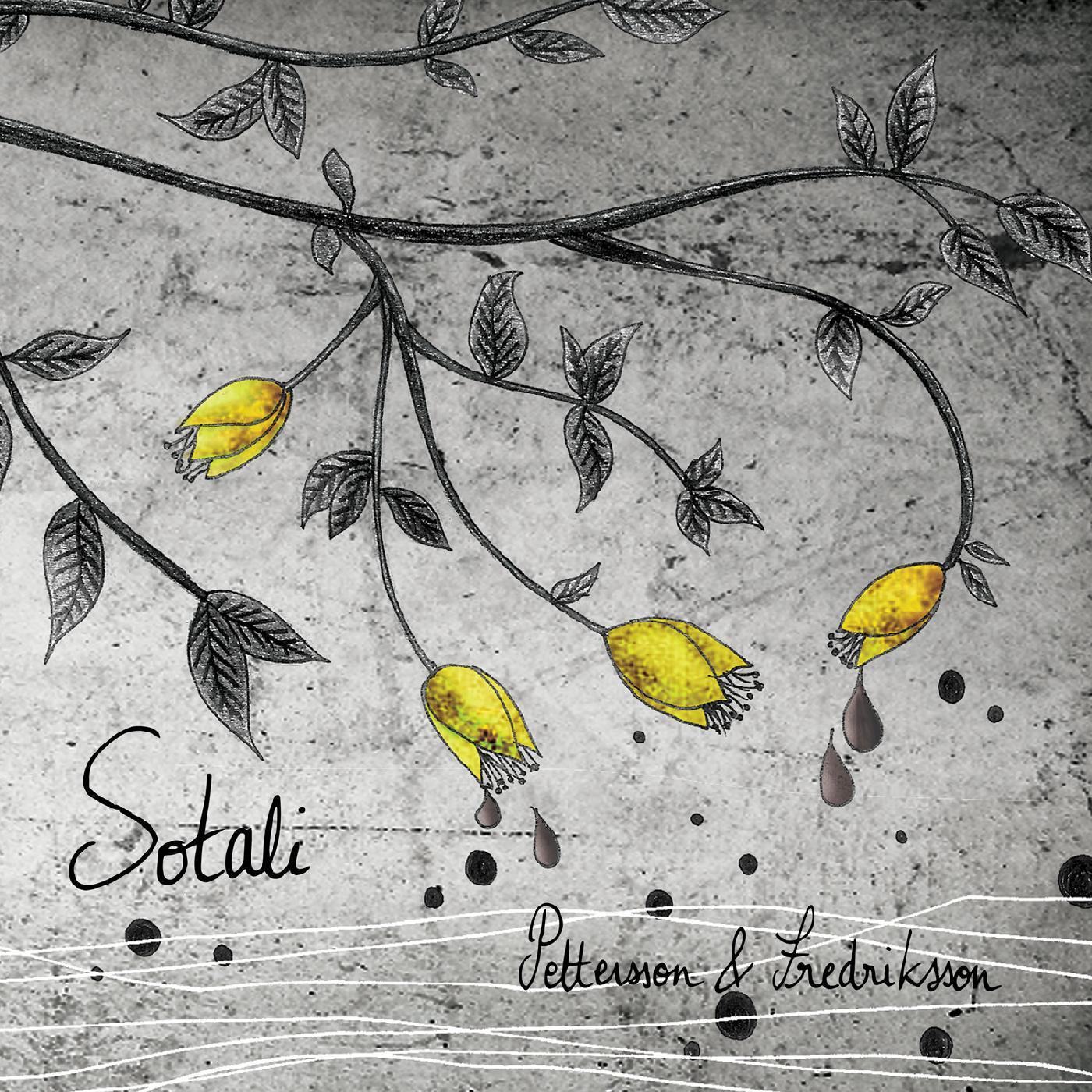 Pettersson & Fredriksson - Sotali (CD) | Mint (M) Mint (M)-
