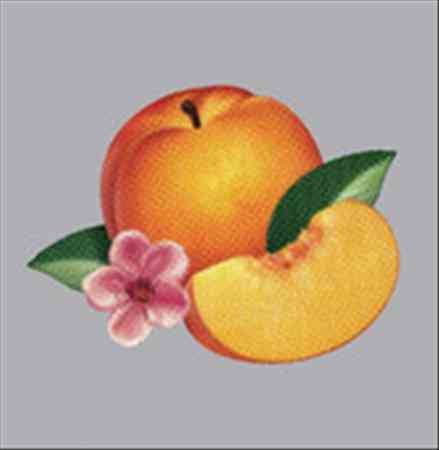 Phoenix - BANKRUPT! (VINYL LP Glassnote GLS-0140-01) | NEW-
