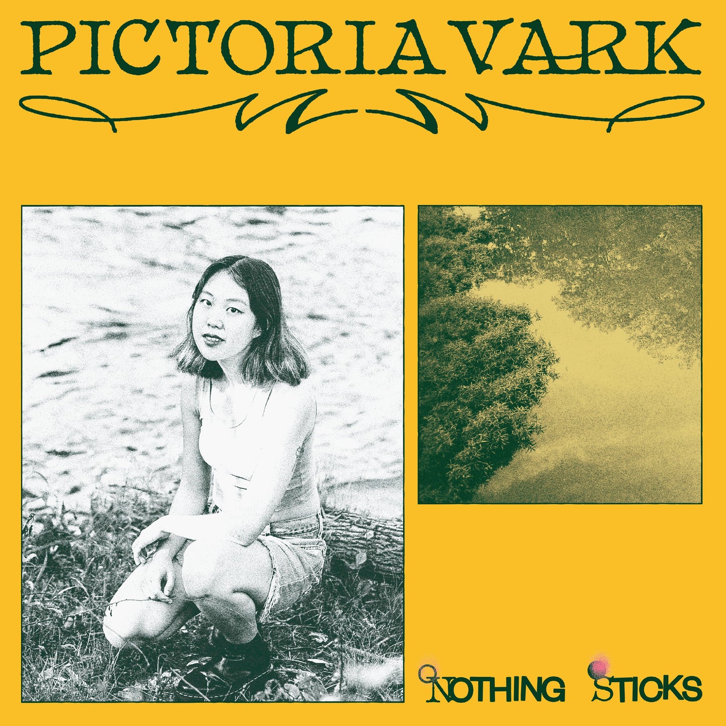Pictoria Vark - Nothing Sticks (VINYL) | Mint (M) Mint (M)-