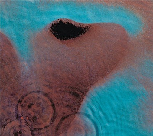 Pink Floyd - Meddle (Remastered CD) | Mint (M) Mint (M)-