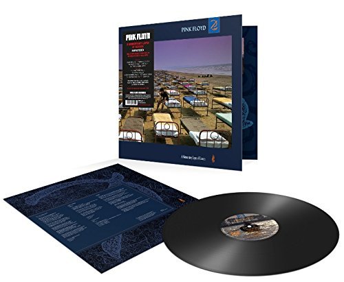 Pink Floyd - Pink Floyd - Momentary Lapse Of Reason (2011 Remastered) LP | Mint (M) Mint (M)-
