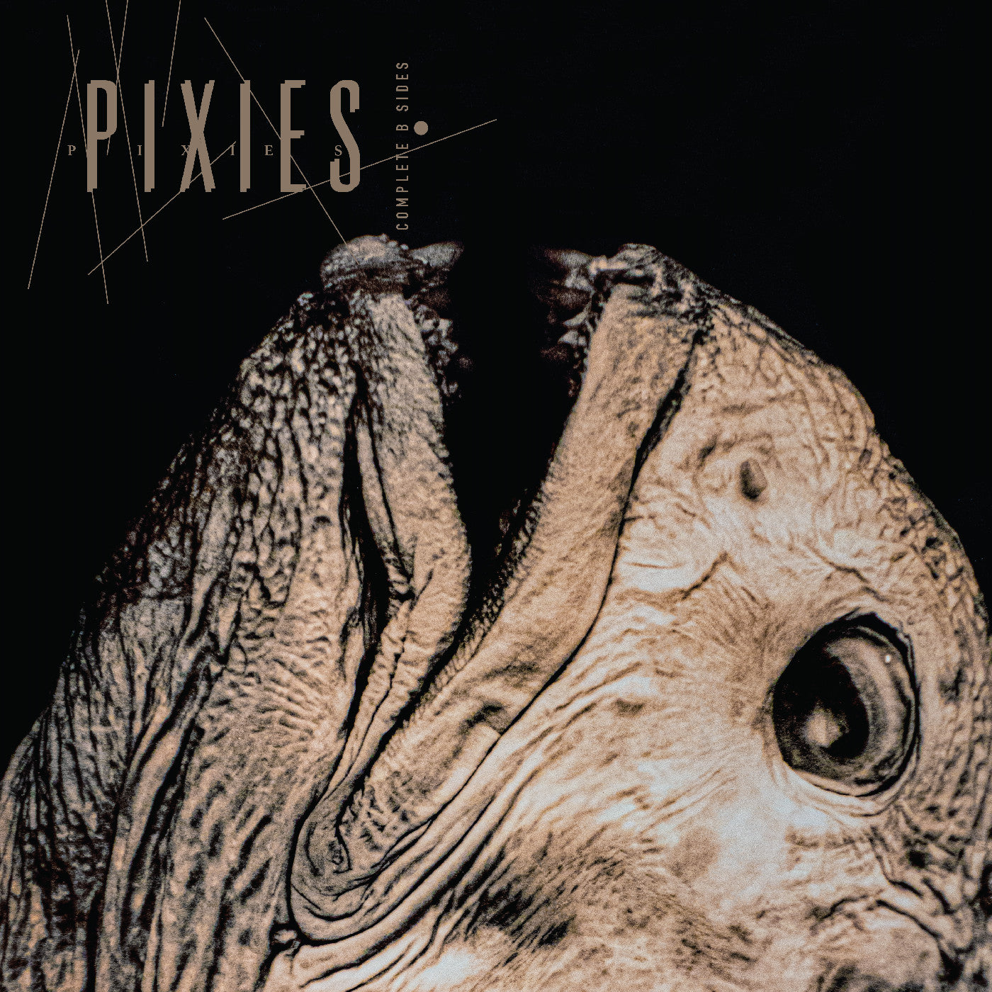 Pixies - Complete B Sides: 1988-97 (IEX CLEAR VINYL 2xLP 4AD 4AD0878LPE 2026) |-