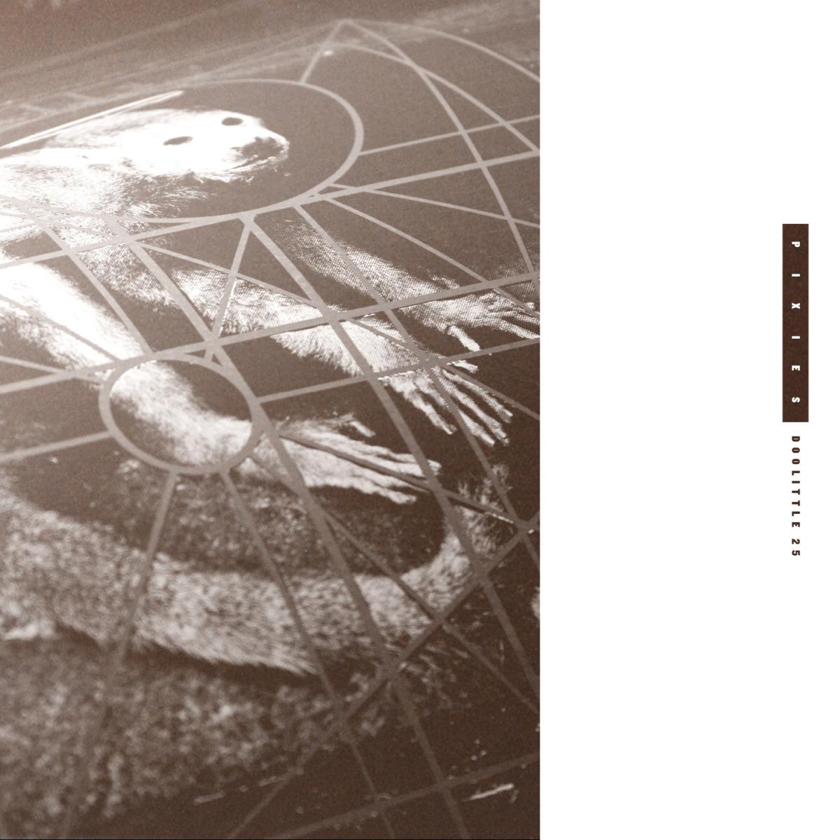 Pixies - Doolittle 25: B-Sides Peel Sessions & Demos (3CD) | Mint (M) Mint (M)-