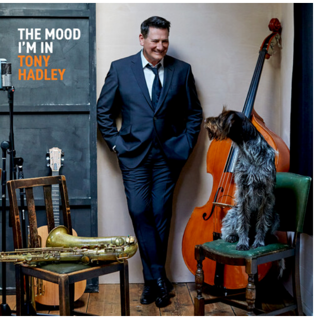 Tony Hadley - The Mood I'm In (Cream VINYL) | Mint (M) Mint (M)-
