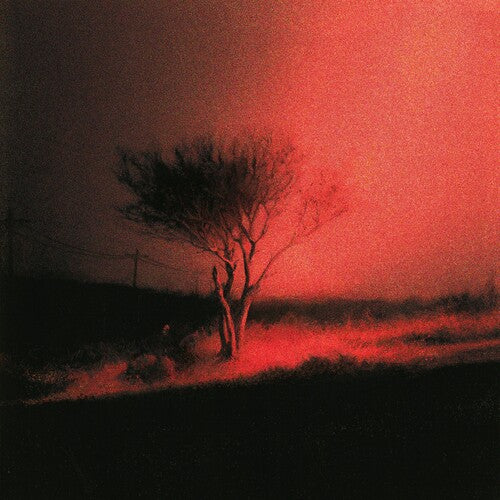 Joji - Piss In The Wind (CD) | Mint (M) Mint (M)-
