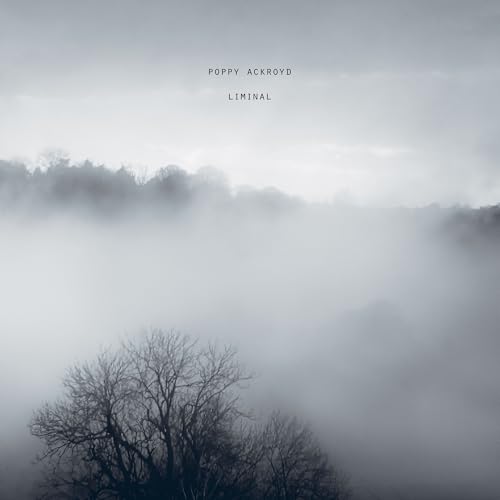 Poppy Ackroyd - Liminal |-