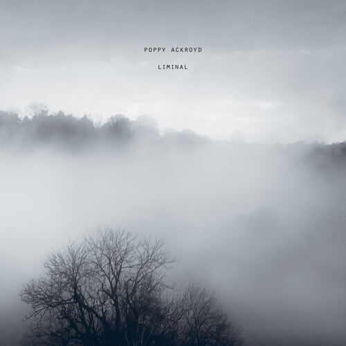 Poppy Ackroyd - Liminal |-