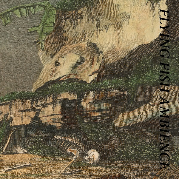 RAINFOREST SPIRITUAL ENSLAVEMENT - Flying Fish Ambience |-