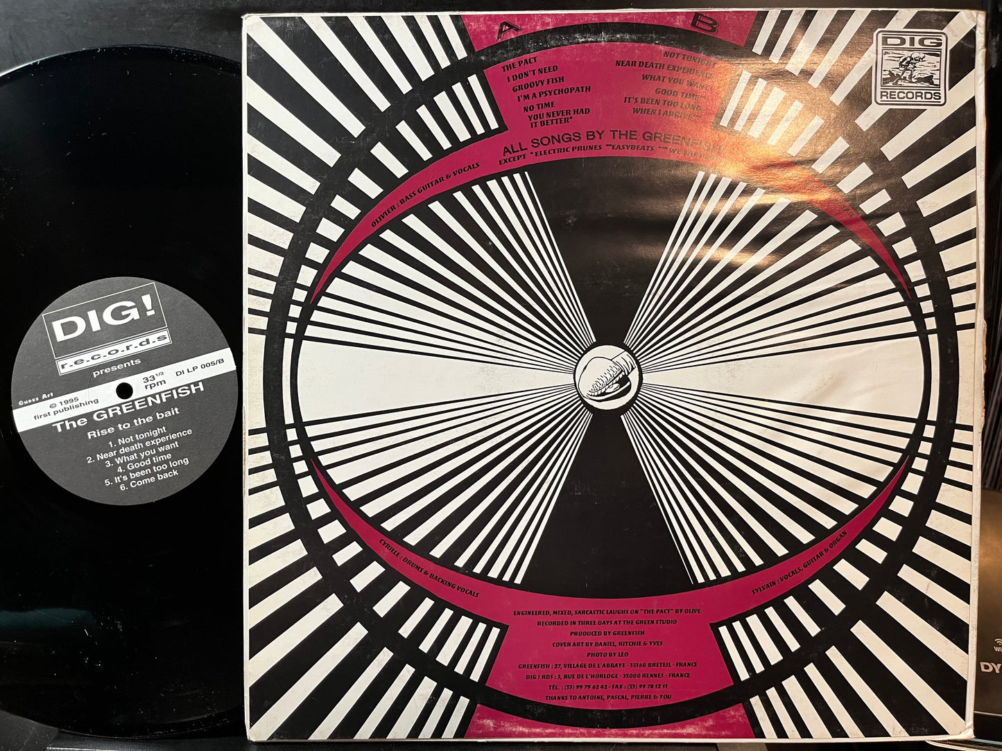 Greenfish - Rise To The Bait (VINYL LP) | Near Mint (NM or M-) Very Good Plus Plus (VG++)--