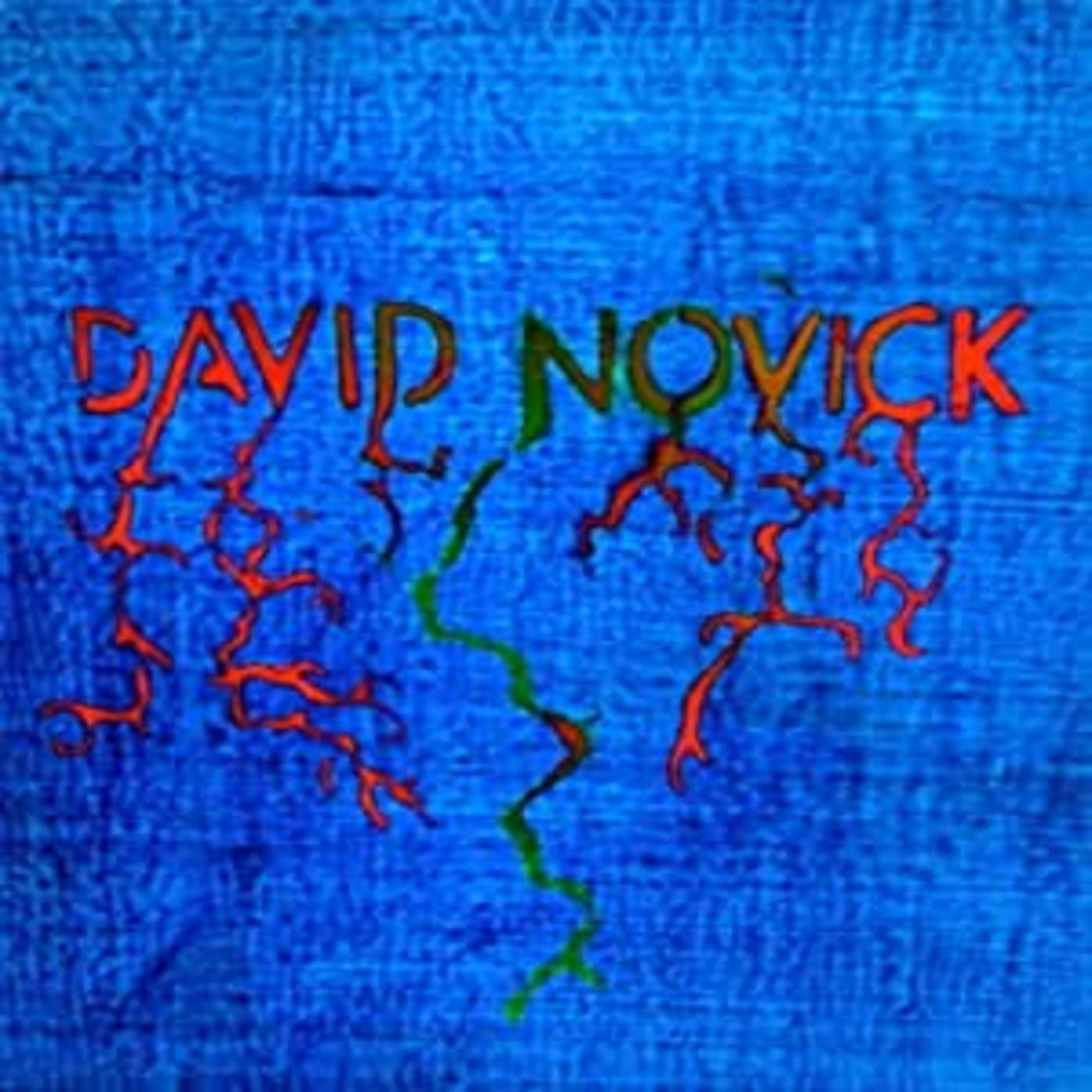 Novick, David - David Novick (Vinyl) | Mint (M) Mint (M)-