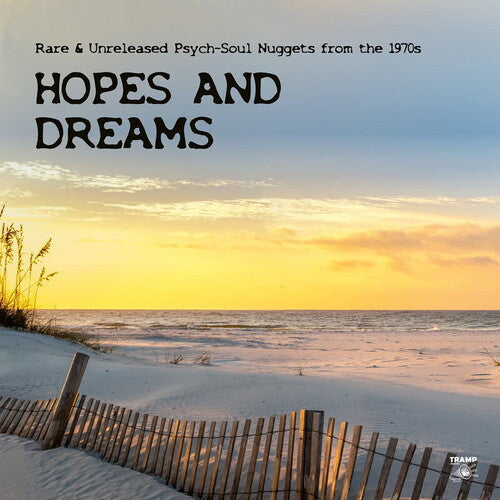 Various Artists - Hopes And Dreams: Rare & Unreleased Psych-Soul Nuggets from the 1970s (2xVINYL) |-