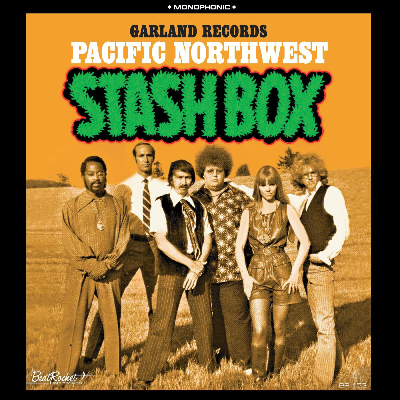 Garland Records - Pacific Northwest Stash Box (GREEN VINYL) |-
