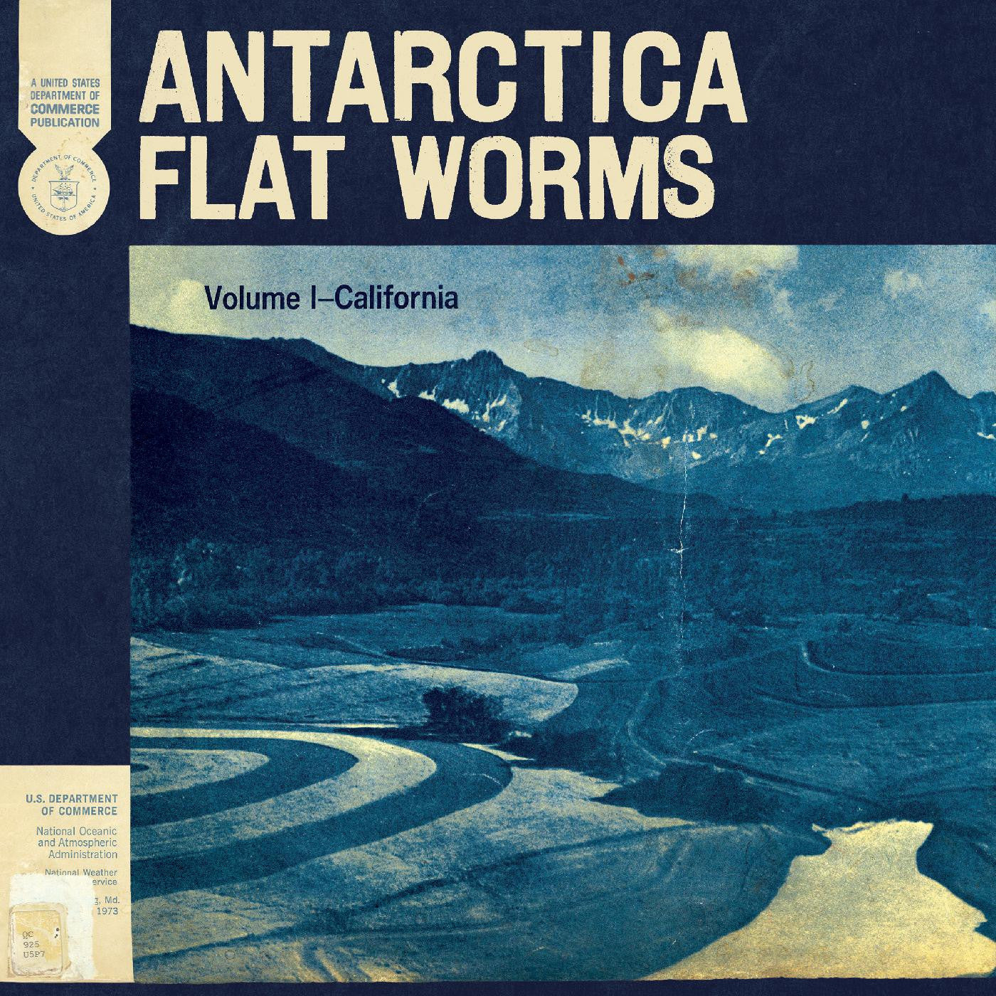 Flat Worms - Antarctica |-