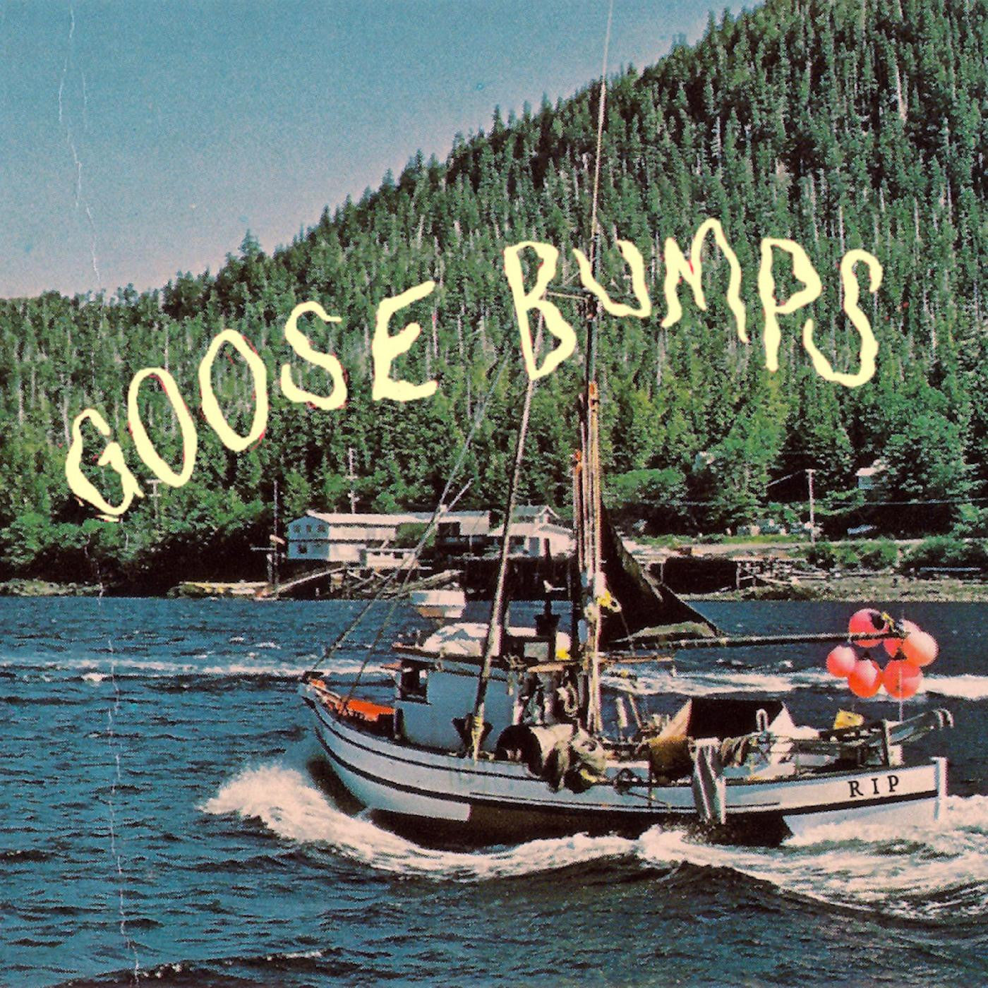 Boyscott - Goose Bumps (CD) |-