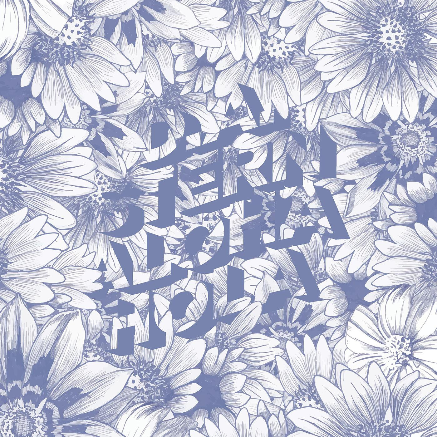 Stern, D.A. - Aloha Hola (CD) |-