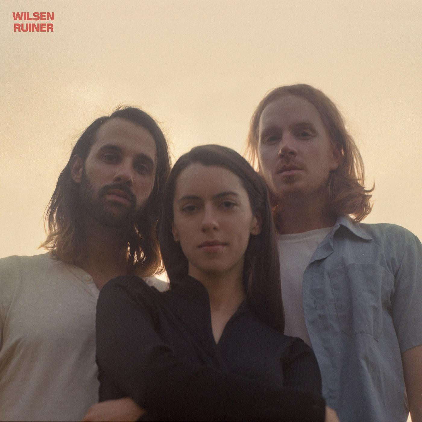 Wilsen - Ruiner (Vinyl) | Mint (M) Mint (M)-