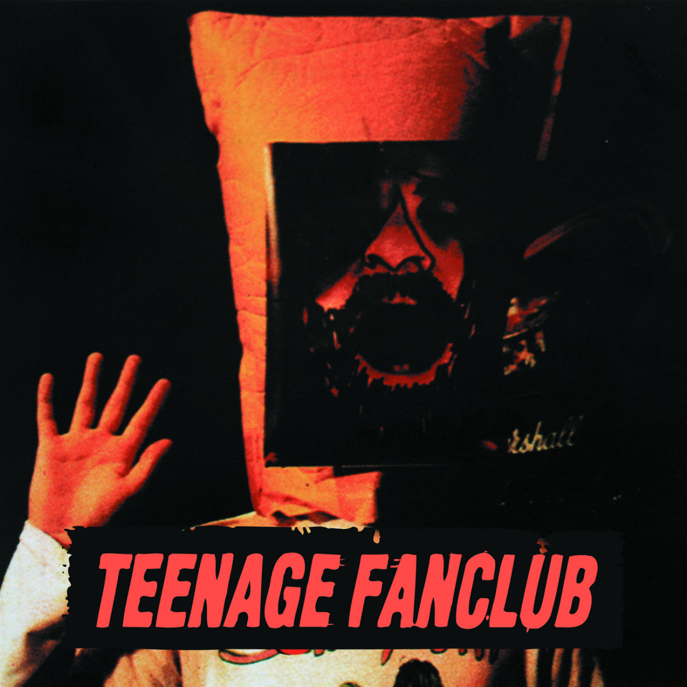Teenage Fanclub - Deep Fried Fanclub (CD) | Mint (M) Mint (M)-