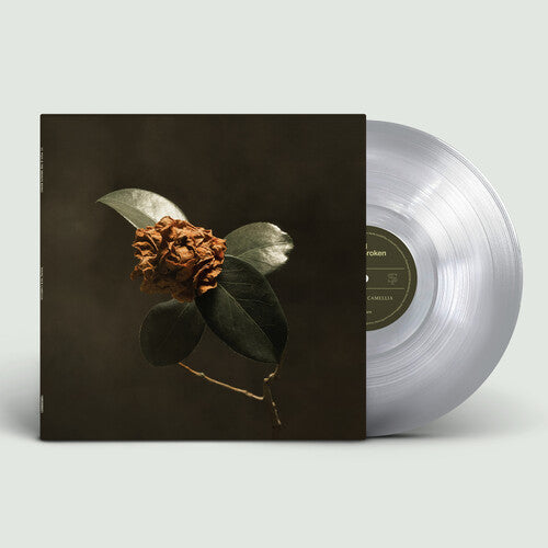 St. Paul & The Broken Bones - Young Sick Camellia (VINYL) |-