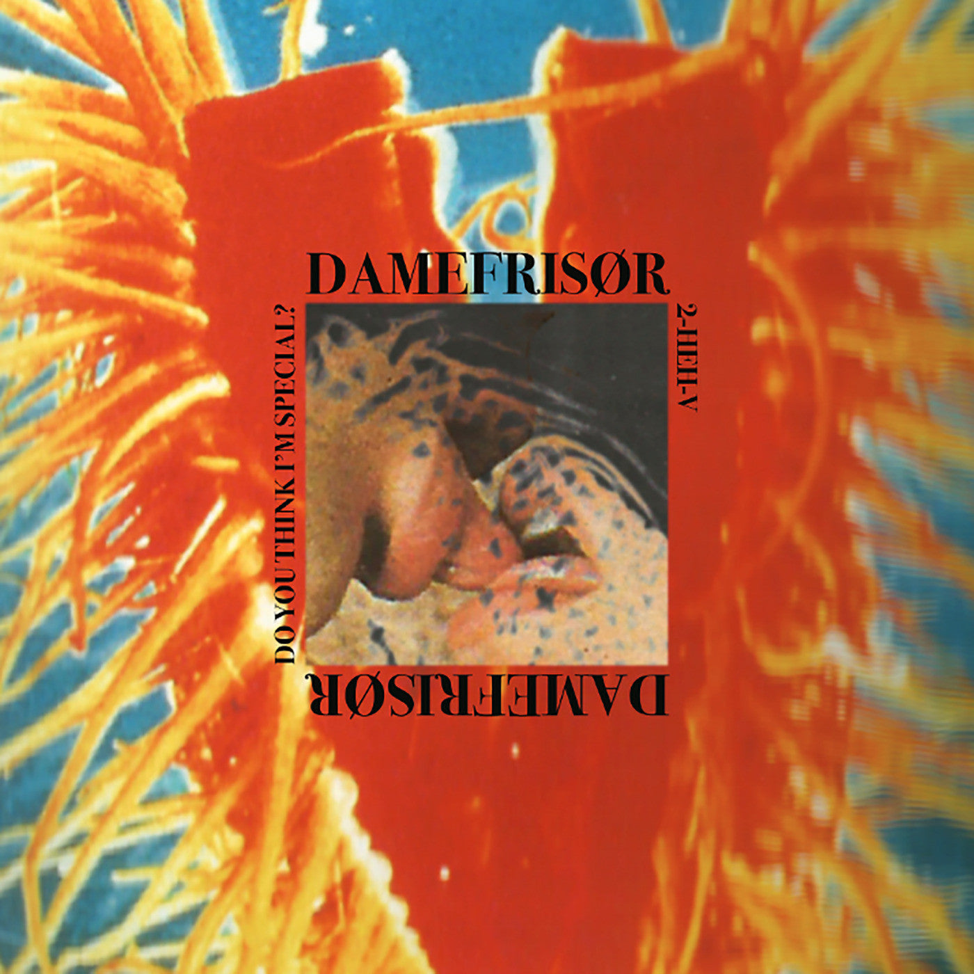 DAMEFRISOR - Do You Think I’m Special? (INDIE EXCLUSIVE) (Vinyl) | Mint (M) Mint (M)-
