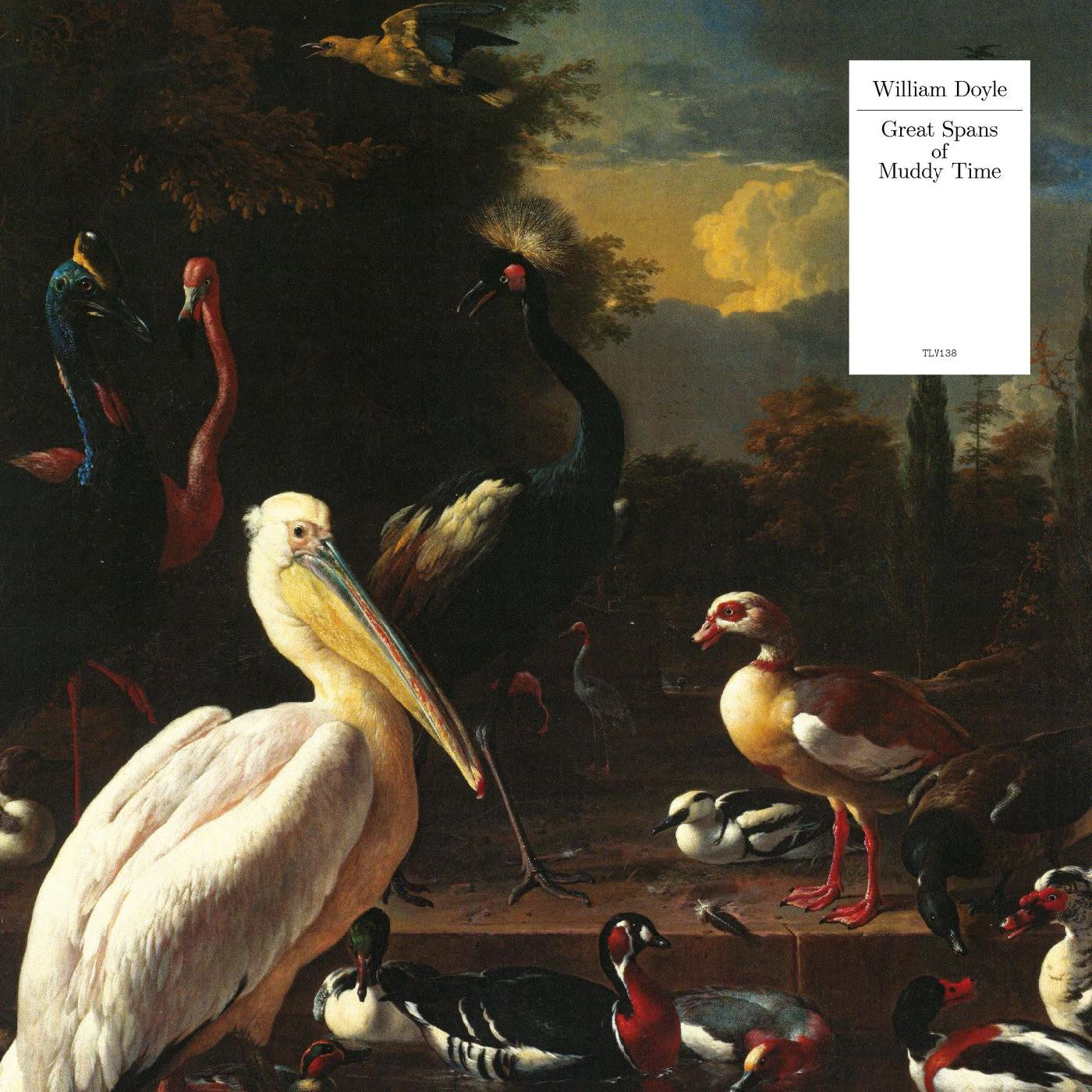 Doyle, William - Great Spans Of Muddy Time (WHITE VINYL) | Mint (M) Mint (M)-