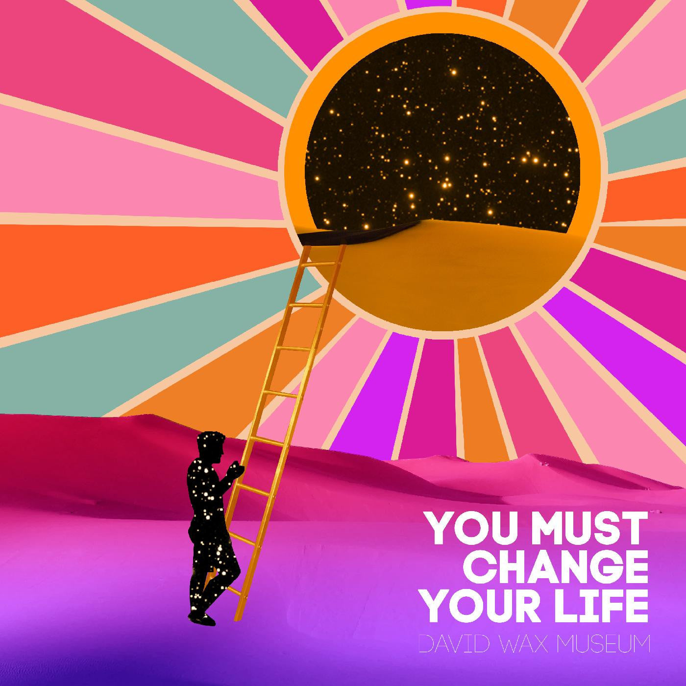 David Wax Museum - You Must Change Your Life |-